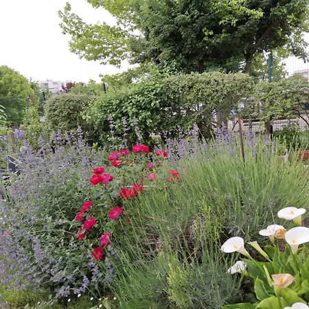 Sous Le Figuier * Les Noes-pres-Troyes